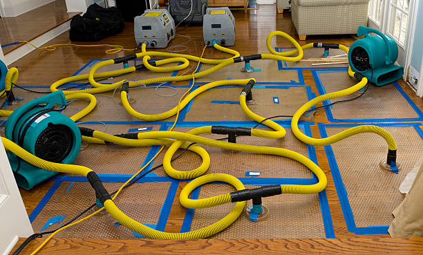 Professional Crawl Space Water Removal technician working in Burke, VA