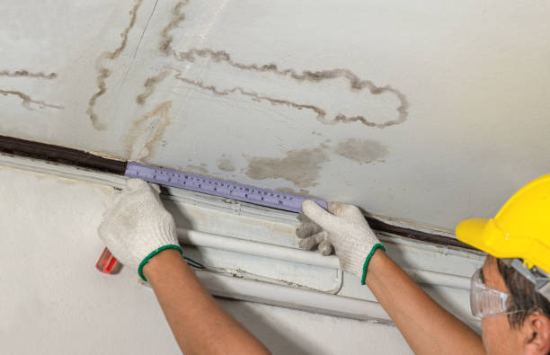 Affordable Water Damage Repair solutions in Burke, VA